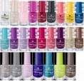 /album/fotogaleria/colorgo-all-1-jpg/